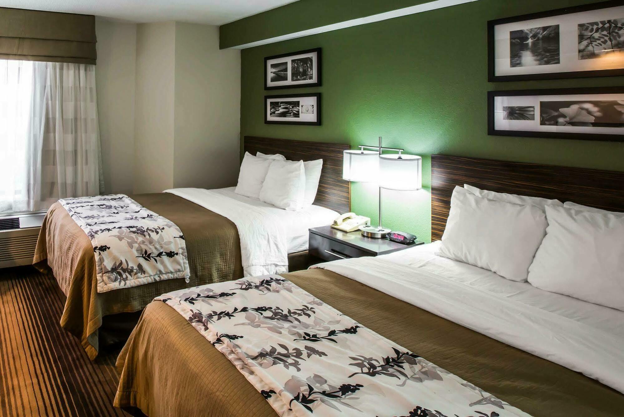 Sleep Inn & Suites Kingsport Tricities Airport Kültér fotó